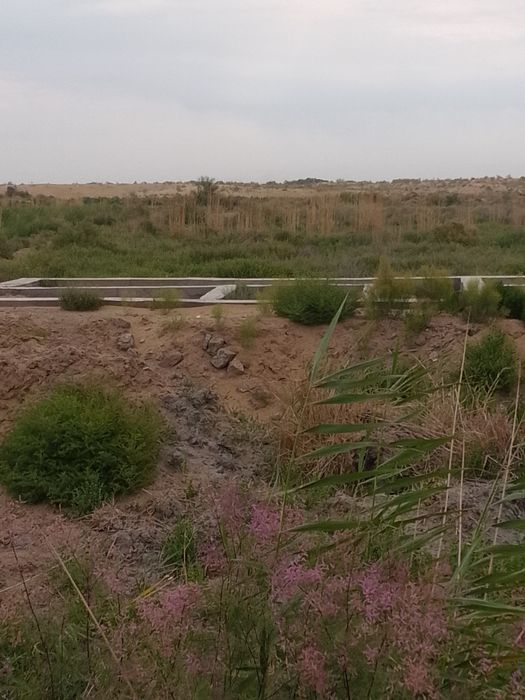 Жой урни сотилади