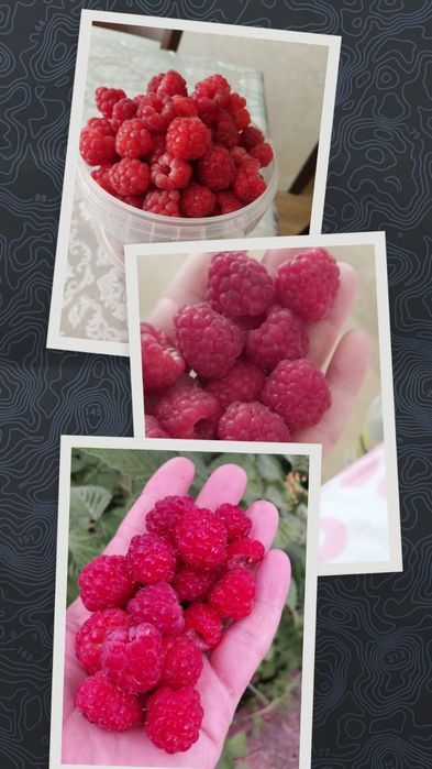 Малиновое варенье