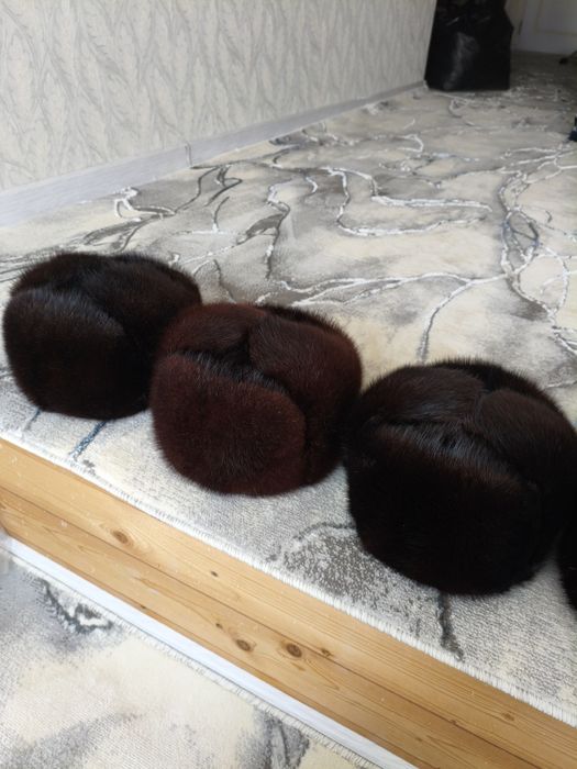 Ondatra telpak yangi