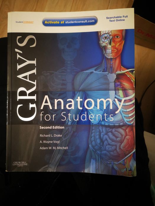 Sabotta și Grey's Anatomy (engleza)