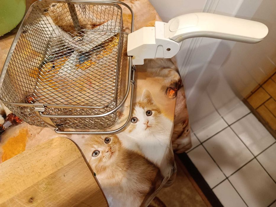 Фритюрник Bosch.