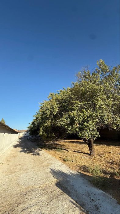 40 sotix yer sotiladi zangiota boz suv