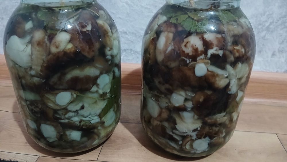 Продам грибы валуи