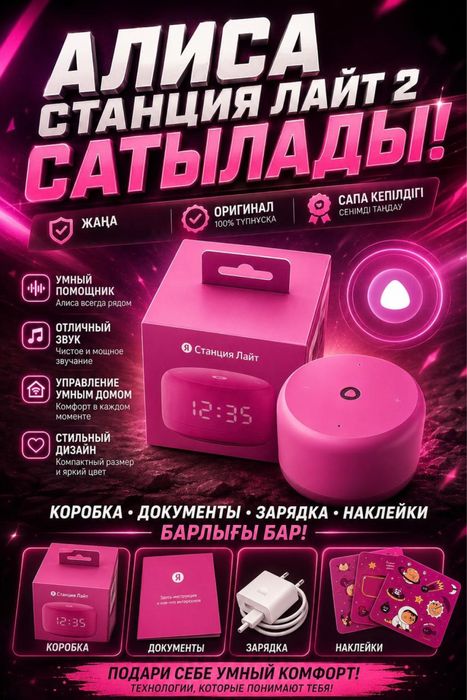 Алиса Станция Лайт2