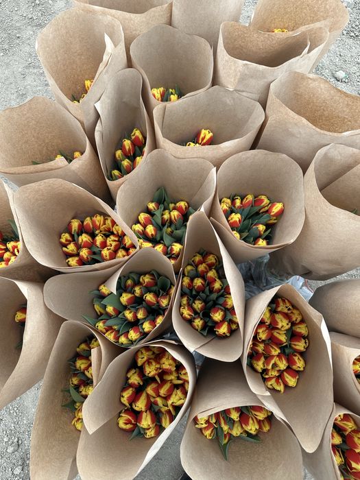 Тюльпаны оптовые заказы на праздники