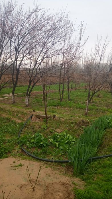 Hovli 15 sotix sotiladi