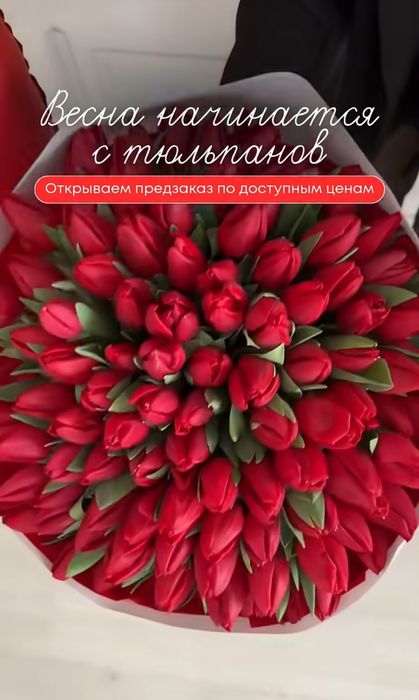 Тюльпаны + упаковка на 8-Марта