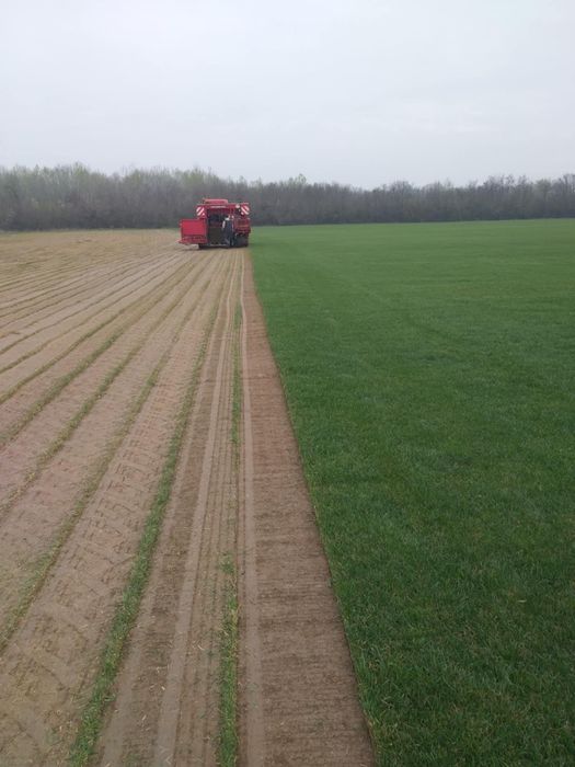 Gazon Rulou cu plasa