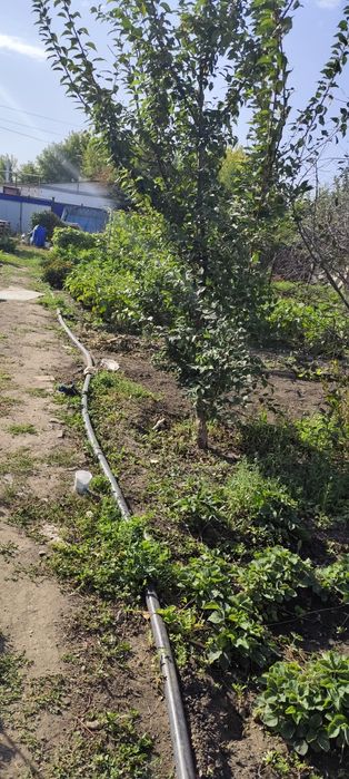 Продам дачу на кривом озере ТЭЦ 3,48А