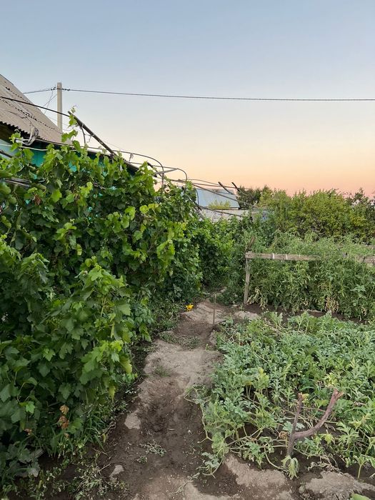 Продам дачный участок с домиком