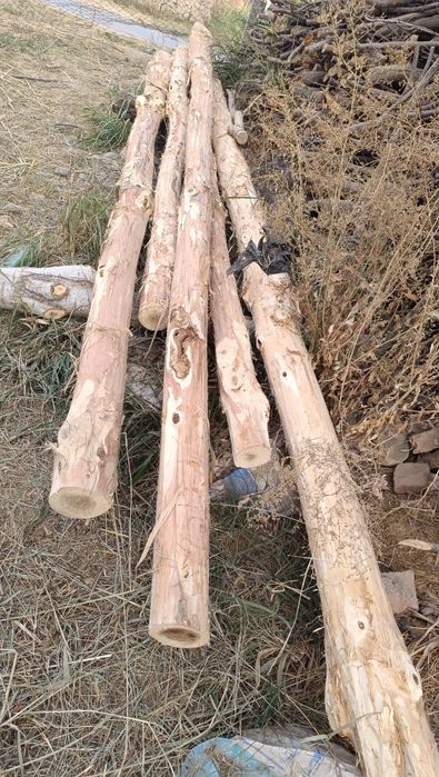 Mirza terak sotiladi 100 dona narxi kelishilagan narxda