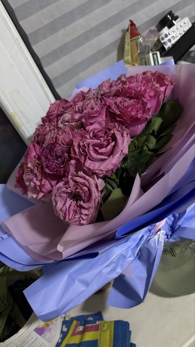 Цветы живые не дорогг