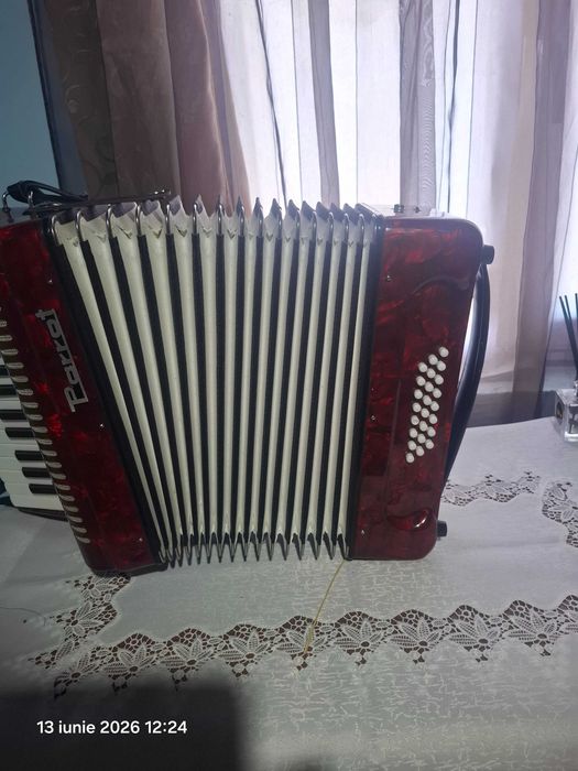Acordeon parrot de vânzare
