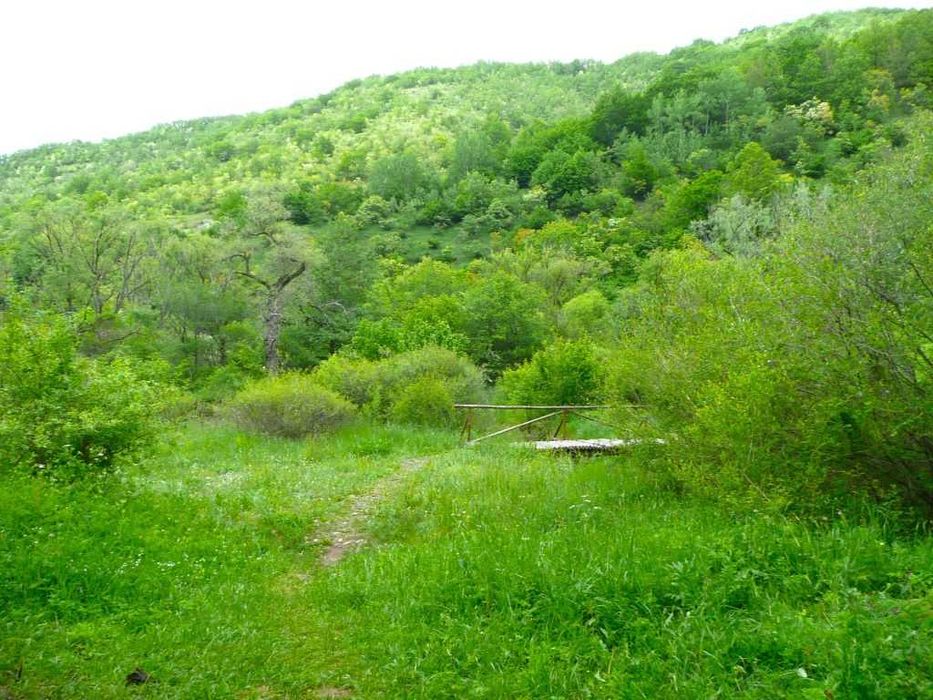 Парцели в регулация в село Боснек, Обл. Перник