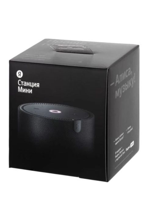 Алиса мини-станция