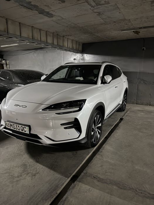 Срачно BYD champion full