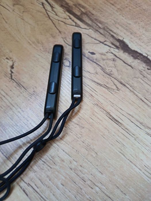 Nintendo Switch Sport
