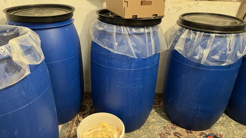 Солоная капуста, свежее