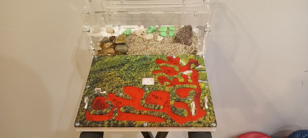 Муравьиная ферма Мини Лес ID017