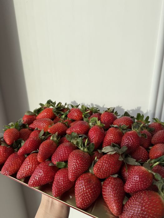 Клубника в шоколаде 4000 тг