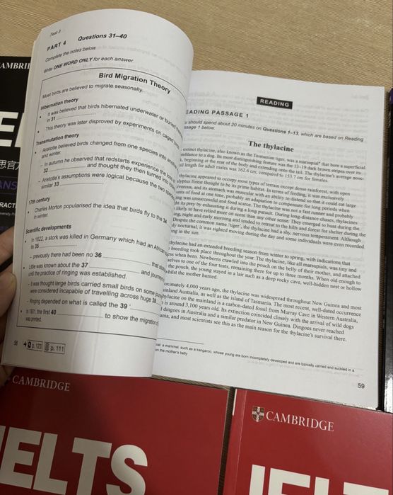 IELTS книги 5–19 Academic все вместе (15 книг)