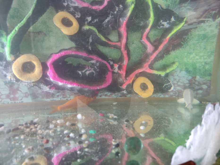 Аквариум олдида йорилган жойи ямалган сув  чикиб кетмайди