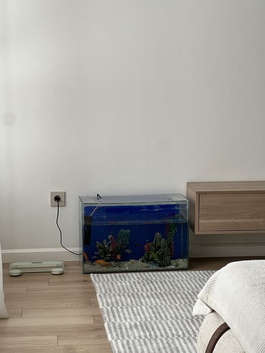 Аквариум с рыбками