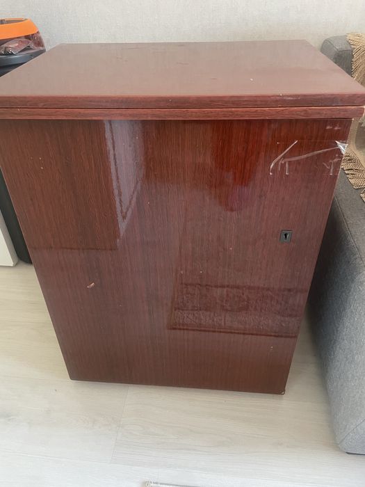 Швейная машинка чайка Астана