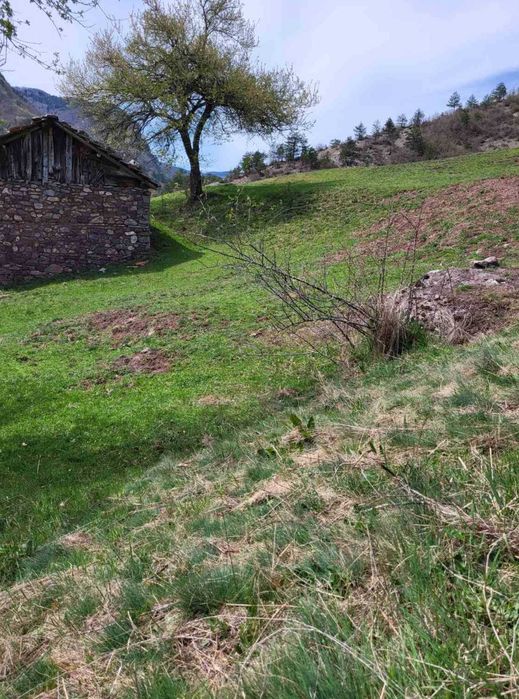 Продава се Парцел в с. Белица, Област Пловдив - 1150 кв.м за 20 €/кв.м - Снимка #2