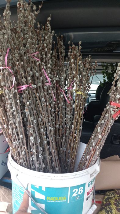 Букеты из вербы свежие