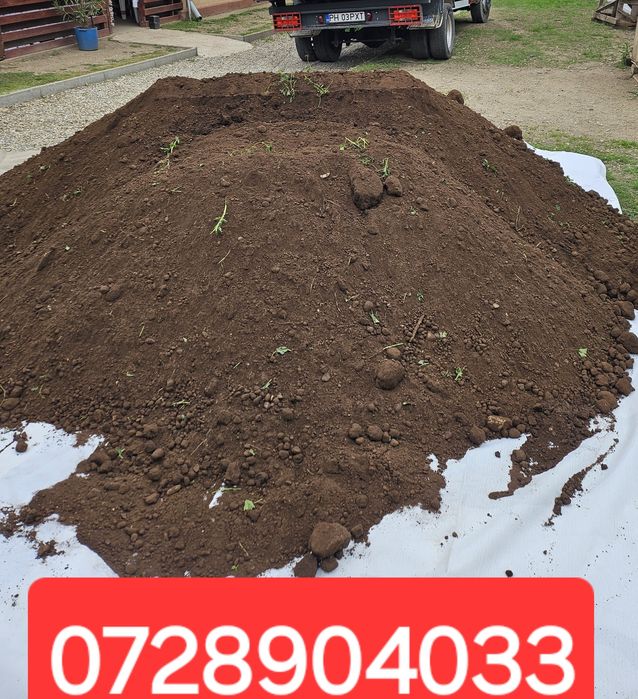 Pământ negru fertil