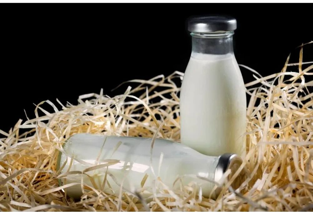 Домашнее молоко оптом