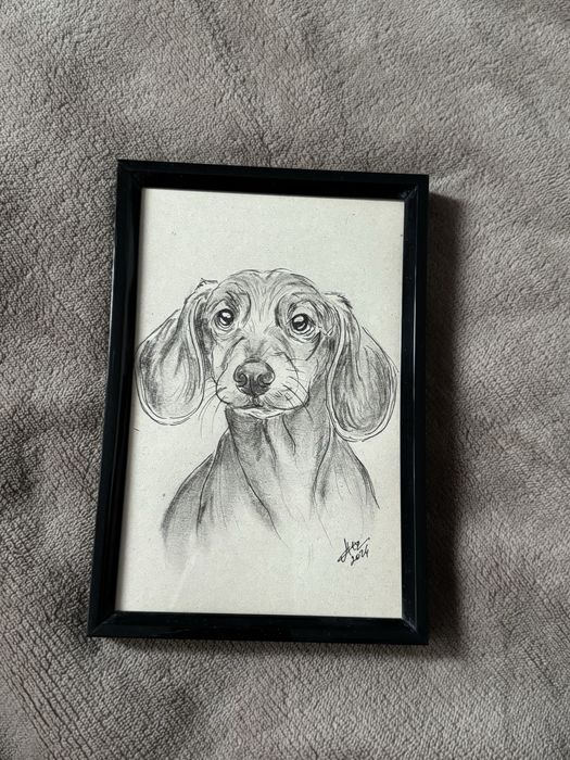 Portrete cu blănoși iubiți