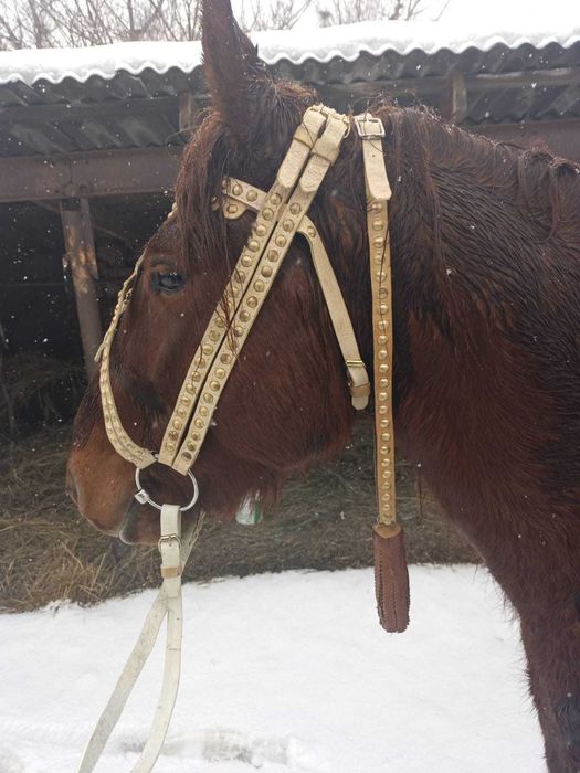 Продам уздечку наборную