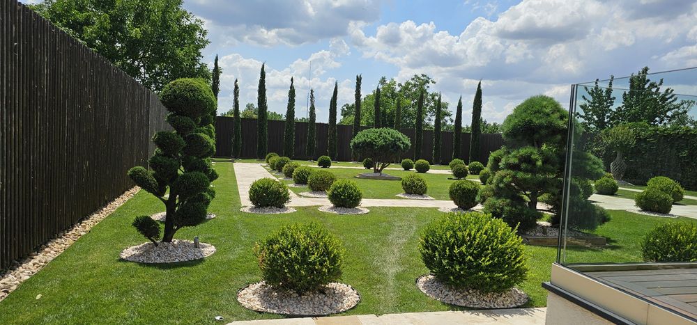 Amenajari gradini Irigatii Gazon