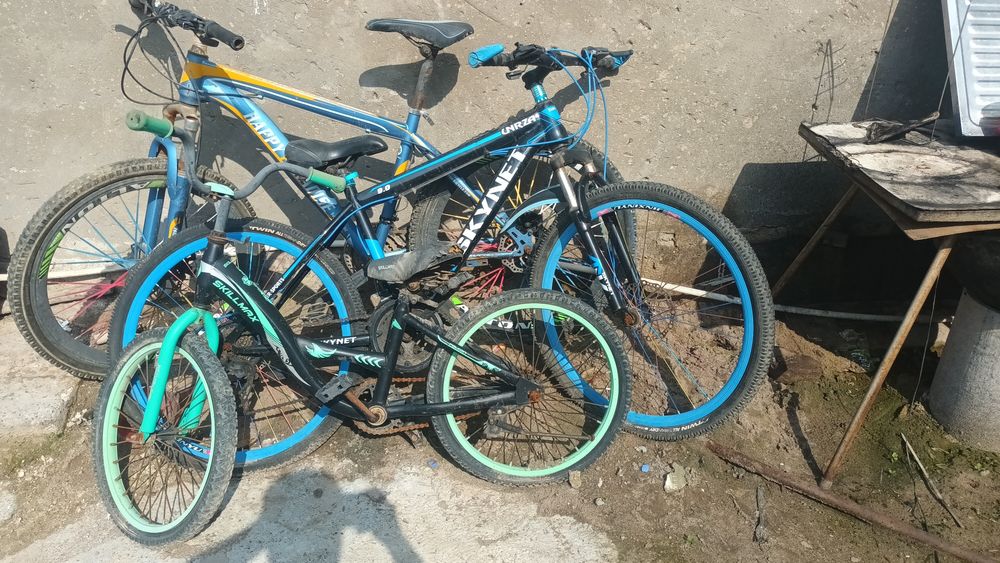 Велик сотилади нархи келшилган холатда пашти янги