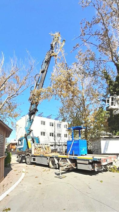 Toaletare copaci folosind Nacela PRB si Camion cu macara