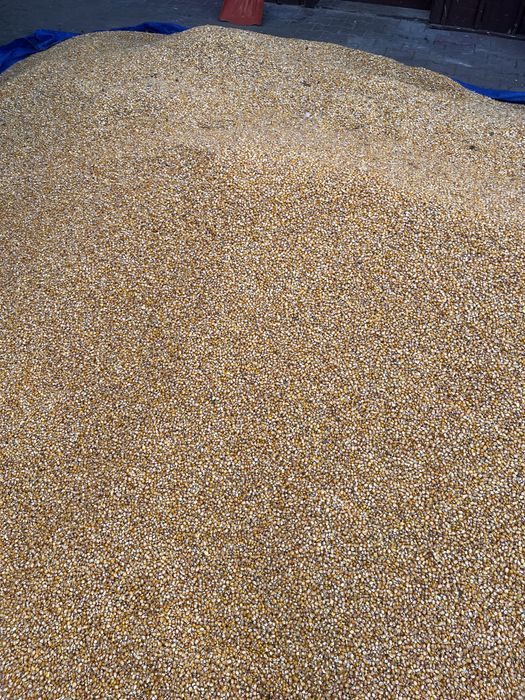 Vand graunte bob sticlos