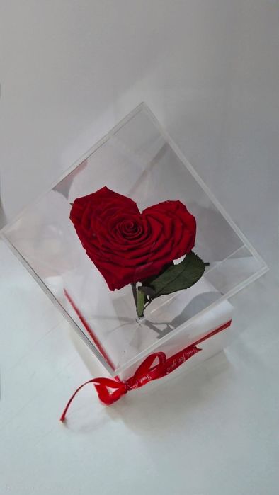Trandafir criogenat!