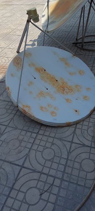 Продаются тарелки с головками