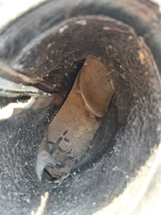 продавам НОСЕНИ боти, номер 45 - има два чифта, цена на чифт