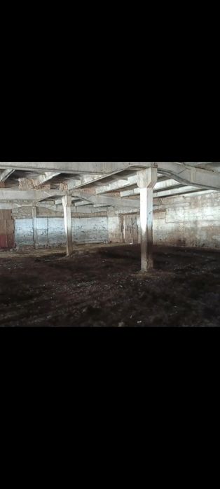 Продаётся крестьянское хозяйство