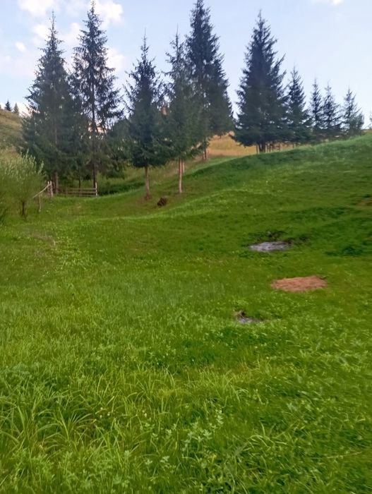 Casă – Botus - Vedere 4