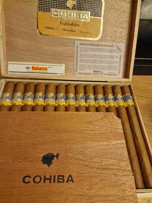 Trabucuri : Cohiba Esplendidos, Cohiba Piramides si Cohiba Maduro .