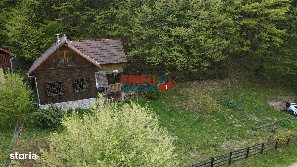 Casă de vacanță la pădure | Teren 891 mp | Valea Ighielului