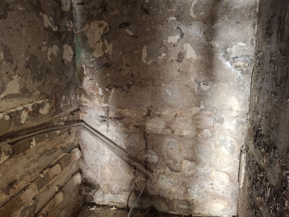 Хамслски услуги чистене къртим,