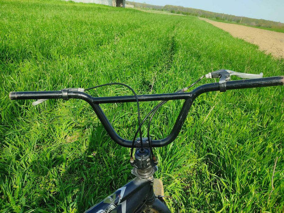 BMX Model: BX X-King