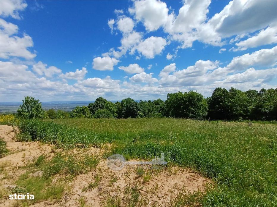 Casa de vanzare I Paun, Barnova I 4 camere, 2 bai I 500 mp teren