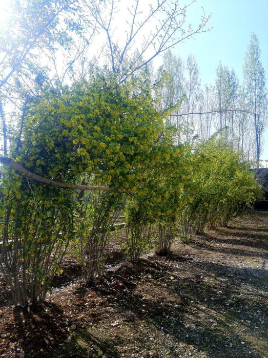 Продаётся участок земли под строительство.