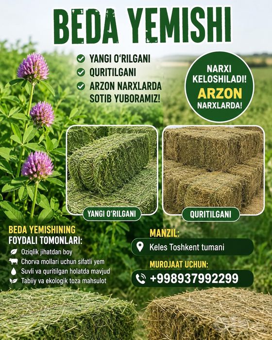 Arzon narxlarda uyda yetishtirilgan quritilgan va hoʻl beda